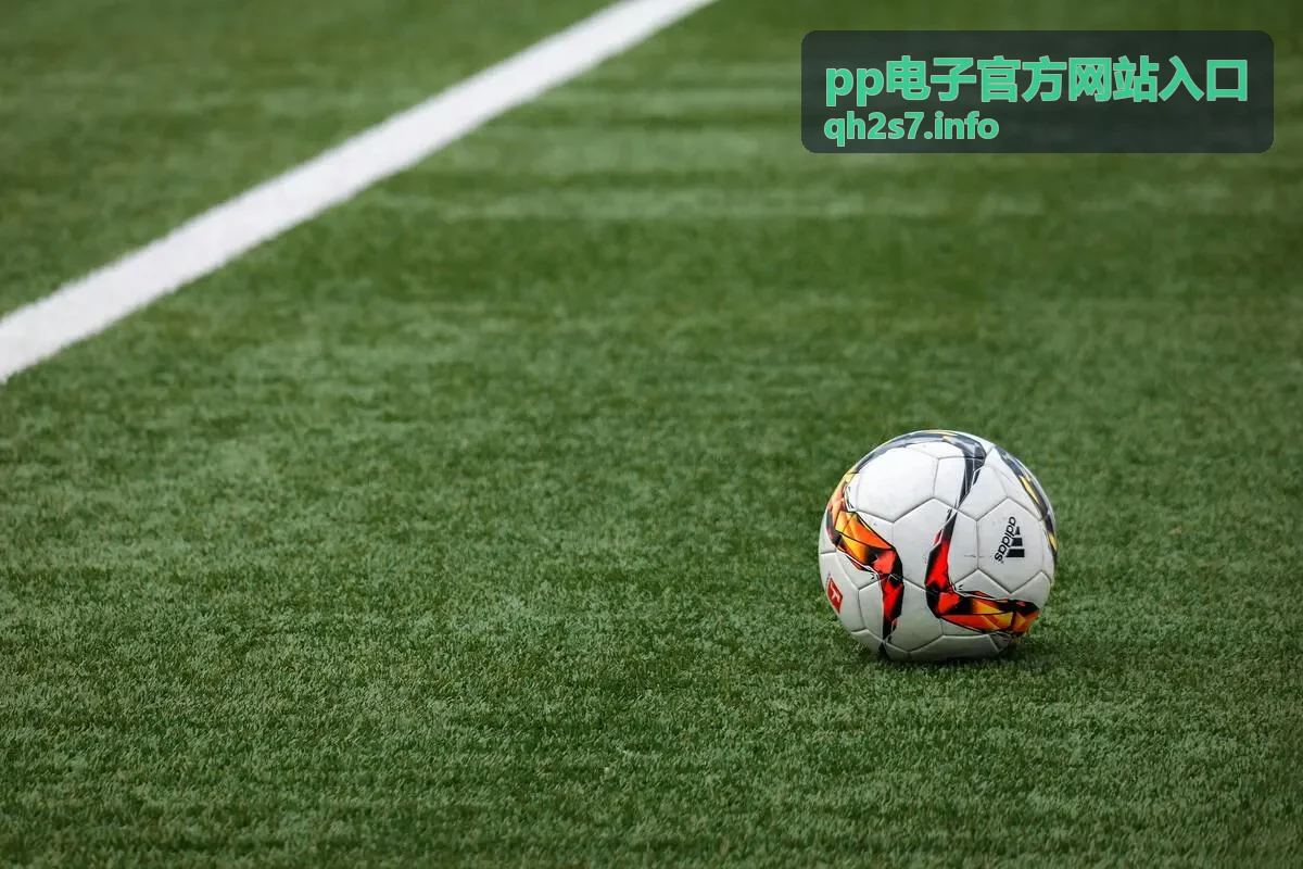 pp电子官方网站入口企业接入场景示意