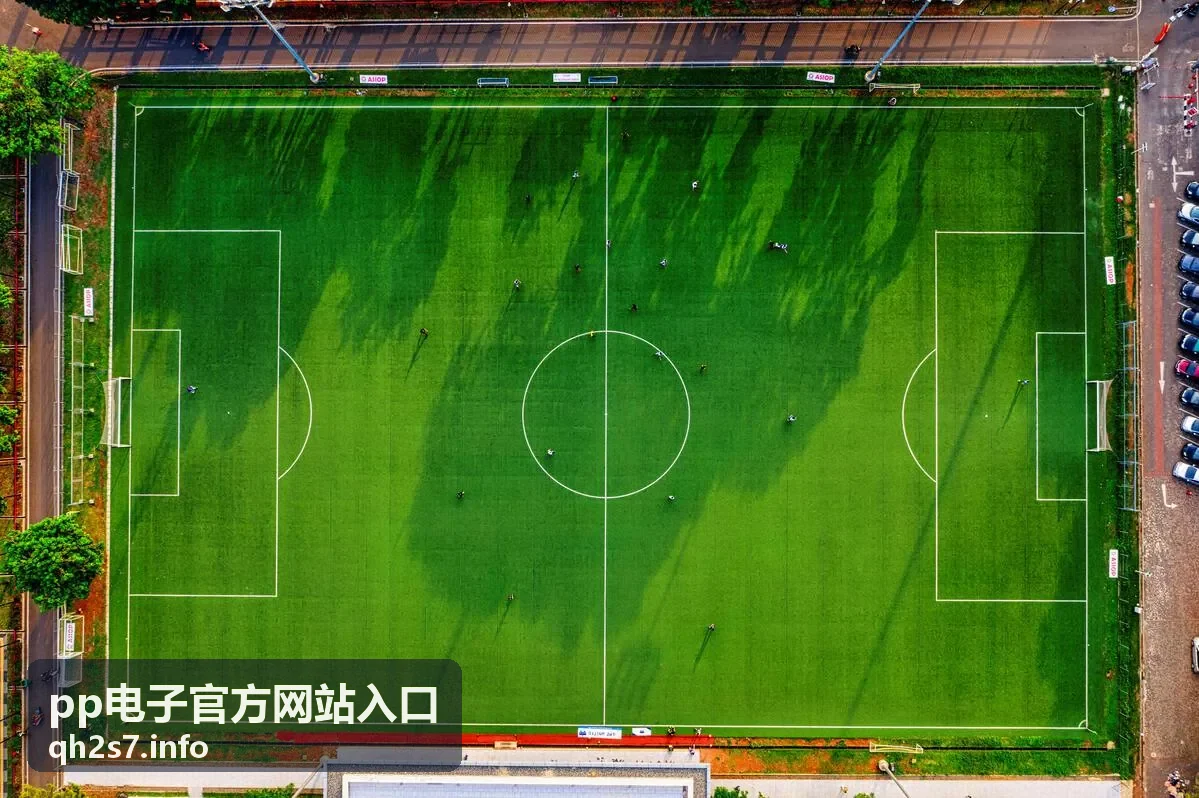pp电子官方网站入口个人信息确认